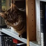 Law School Library Training Seminars 2026-2027